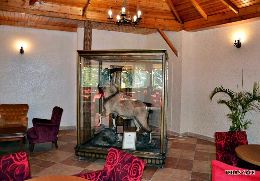 Patalya Thermal Resort Hotel Kızılcahamam Exterior foto